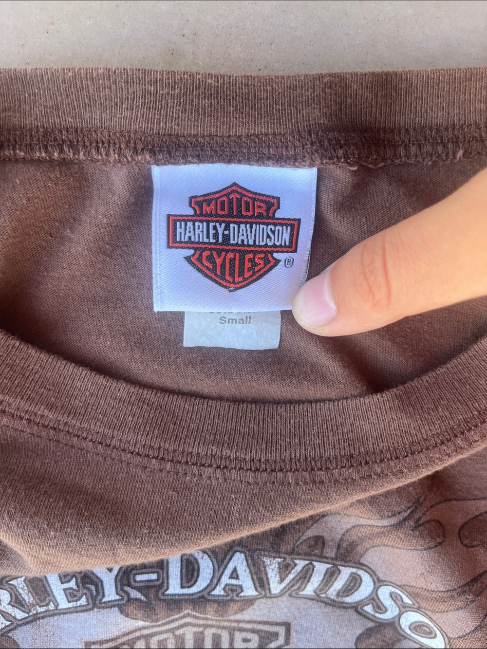 Harley-Davidson Brown Long Sleeve Logo Tee with Cream Graphic - Picture 2 of 4